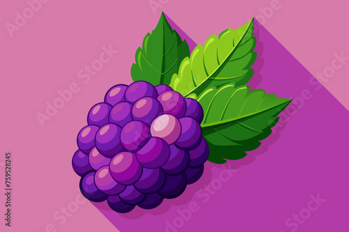 boysenberry fruit background
