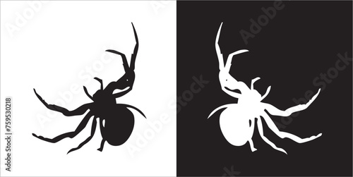Illustration vector graphics of spider icon