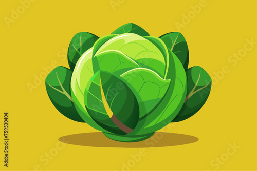 brussels sprouts vegetable background