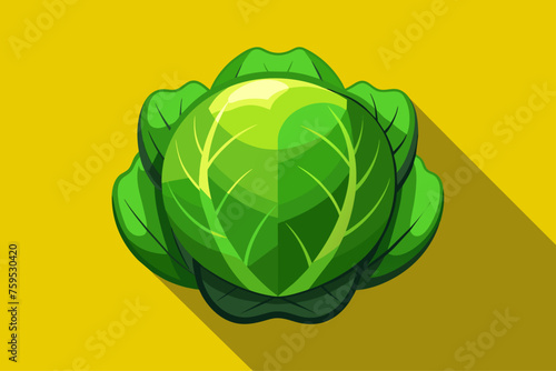 brussels sprouts vegetable background