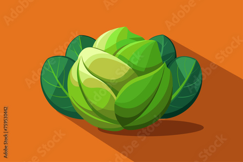 brussels sprouts vegetable background photo