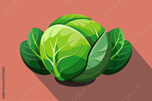 brussels sprouts vegetable background