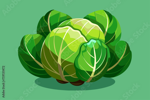 brussels sprouts vegetable background