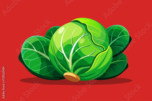 brussels sprouts vegetable background