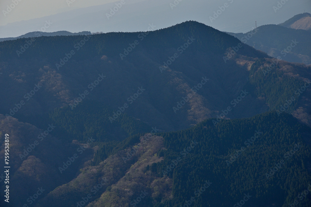 春の西丹沢　箒沢権現山北東尾根より遠見山
