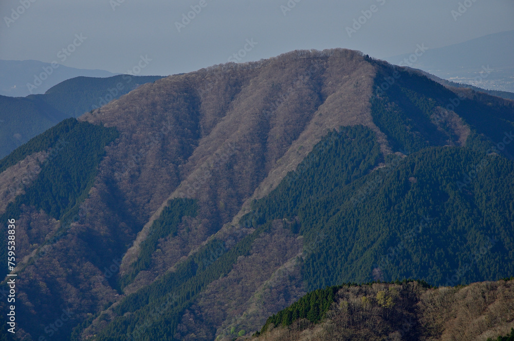 Fototapeta premium 春の西丹沢 箒沢権現山北東尾根より世附権現山