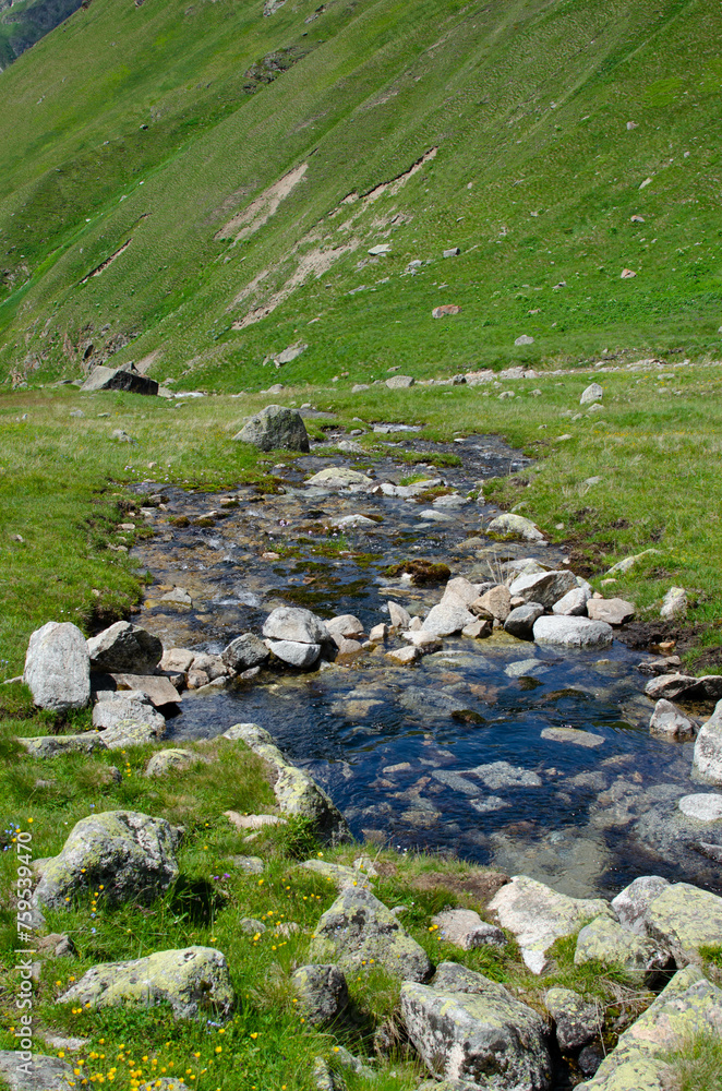 A beautiful mountain river flowing along the slopes of the mountains. the mountain slopes are covered with grass. A beautiful mountain river flowing along the slopes of the mountains. the mountain slopes are covered with grass.