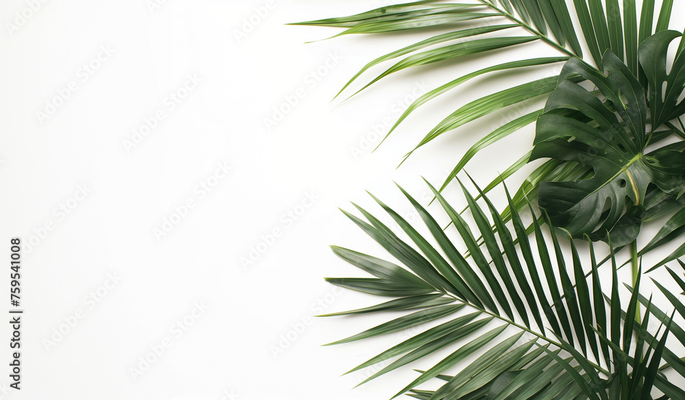 Green leaves Green leaves