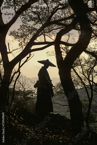 Silhouette of a traditional Samurai standing amidst mystical forest. Japanese culture and martial arts concept. Atmospheric landscape for design and poster. Moody scene with dramatic lighting and copy