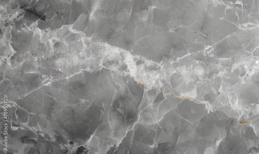 Obraz premium light gray natural stone texture marble