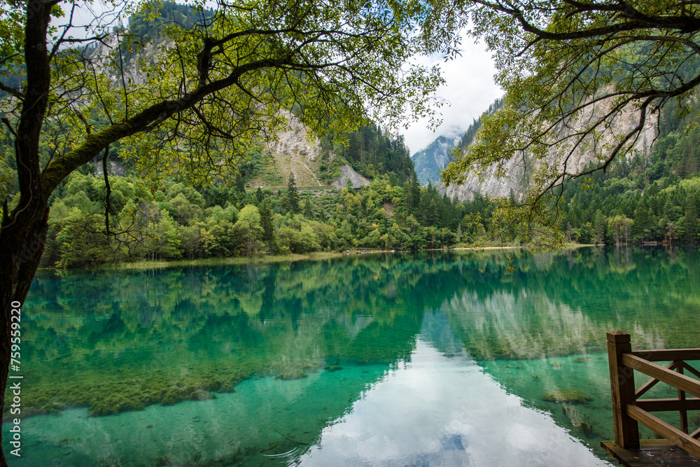 Beautiful view of the blue lake of Wolong Sea in Jiuzhaigou, Sichuan, China Beautiful view of the blue lake of Wolong Sea in Jiuzhaigou, Sichuan, China