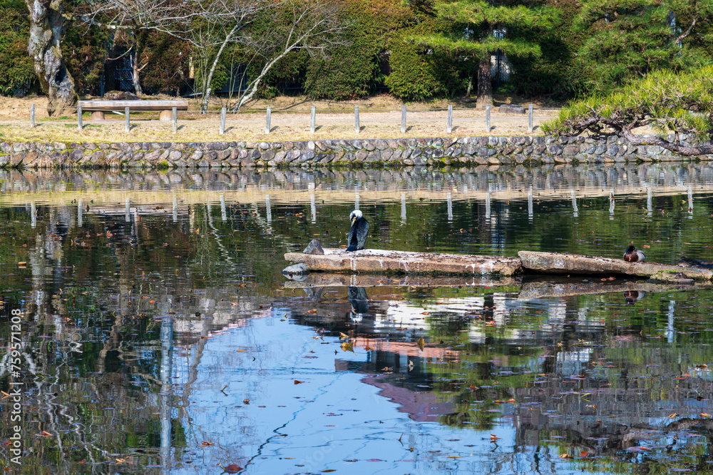 日本の岡山県津山市のとても美しい日本庭園 日本の岡山県津山市のとても美しい日本庭園