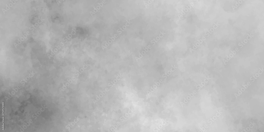 Mist Fog and Dust Particles on smoke canvas, Black and white abstract grunge texture with fogg, Abstract elegant grunge white gray abstract grunge texture. Mist Fog and Dust Particles on smoke canvas, Black and white abstract grunge texture with fogg, Abstract elegant grunge white gray abstract grunge texture.