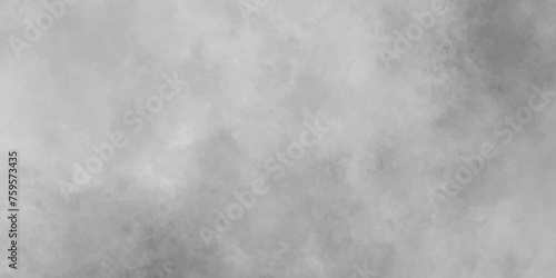 Mist Fog and Dust Particles on smoke canvas, Black and white abstract grunge texture with fogg, Abstract elegant grunge white gray abstract grunge texture.