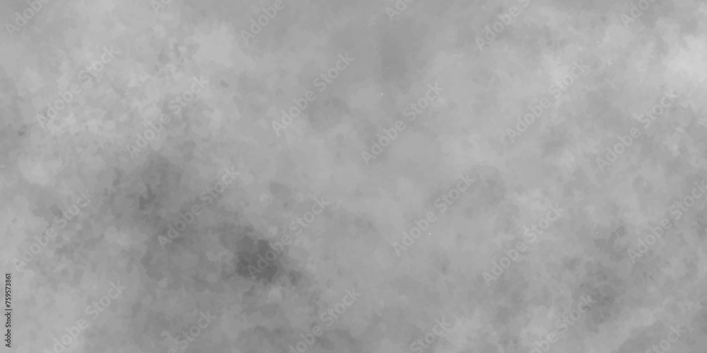 Mist Fog and Dust Particles on smoke canvas, Black and white abstract grunge texture with fogg, Abstract elegant grunge white gray abstract grunge texture. - obrazy, fototapety, plakaty 