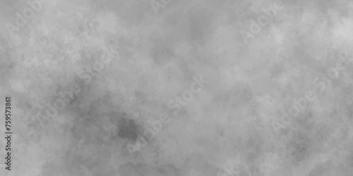 Mist Fog and Dust Particles on smoke canvas, Black and white abstract grunge texture with fogg, Abstract elegant grunge white gray abstract grunge texture.