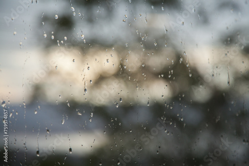 Bokeh gum trees with rain droplets running down glass window on rainy day photo