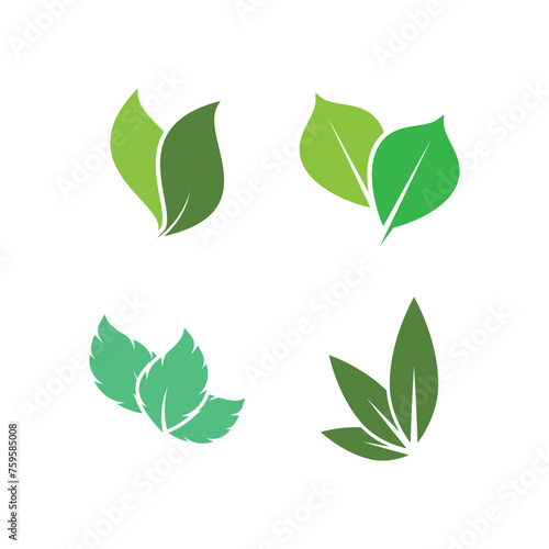 Green leaf logo vector element symbol template