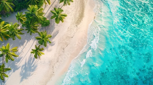 Vista panoramica di una spiaggia tropicale, con sabbia bianca, palme e mare cristallino, vista dall'alto photo