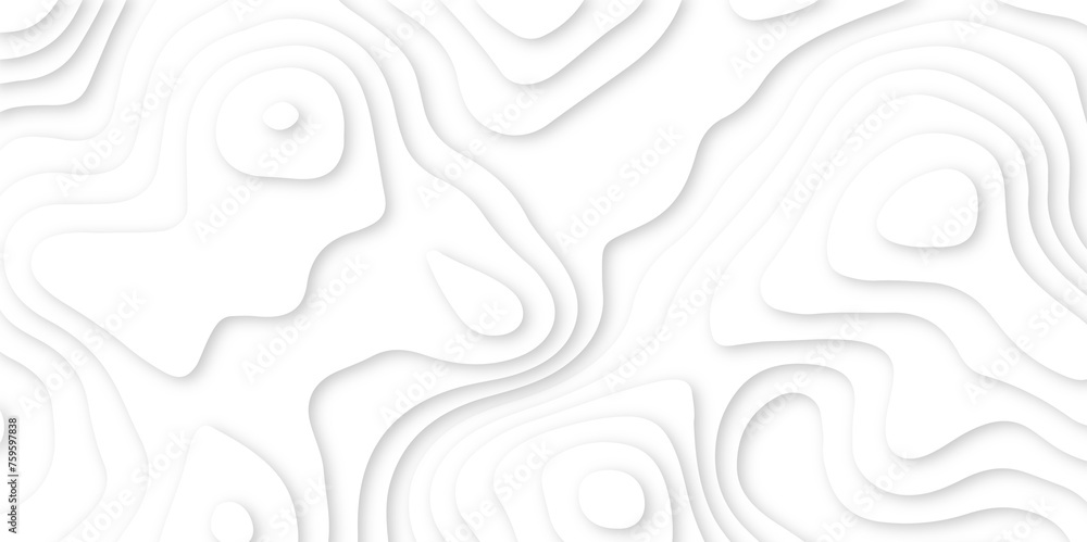 Abstract paper carve template. abstract white and gray 3d papercut topography relief vector background illustration. topographic canyon geometric map relief texture with curved layers and shadow.