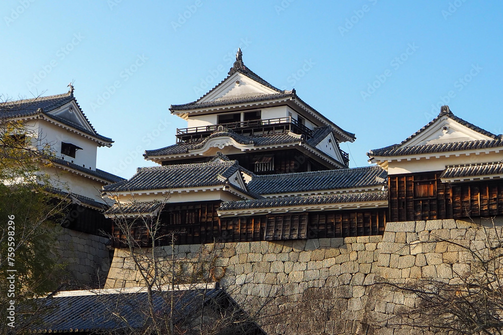 Fototapeta premium 日本 松山城 まつやまじょう Matsuyama Castle