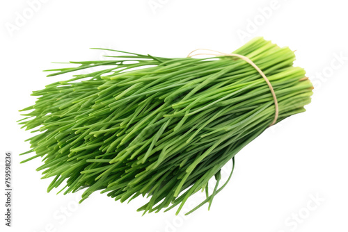 Green Grass on White Background. on a White or Clear Surface PNG Transparent Background.