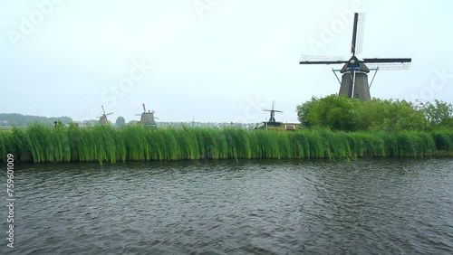 Paisaje de vegetación acuática meciendose con el viento en la orilla del río holandés Zaan y molinos de viento centenarios en funcionamiento. photo