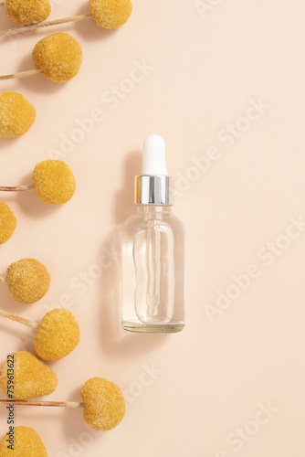 Unbranded serum bottle with craspedia flower on beige background. Beauty concept for face and body care