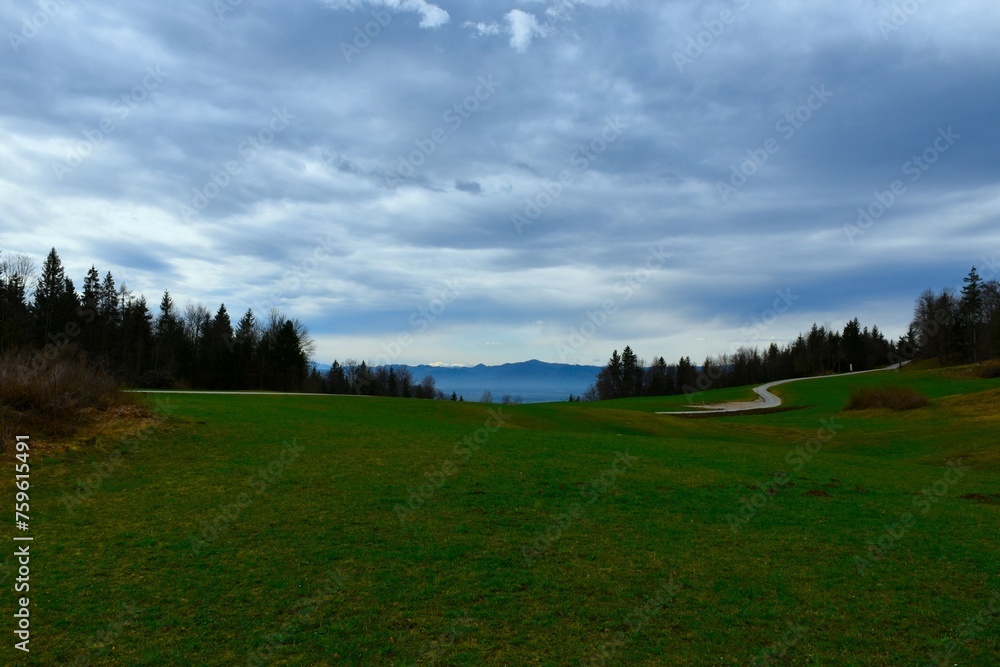 Meadow at Stefanja Gora in Gorenjska, Slovenia