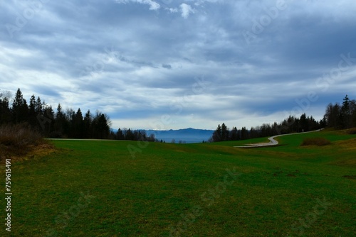 Meadow at Stefanja Gora in Gorenjska  Slovenia