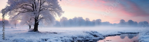 A magical winter landscape first light casting a spell over frost-laden trees