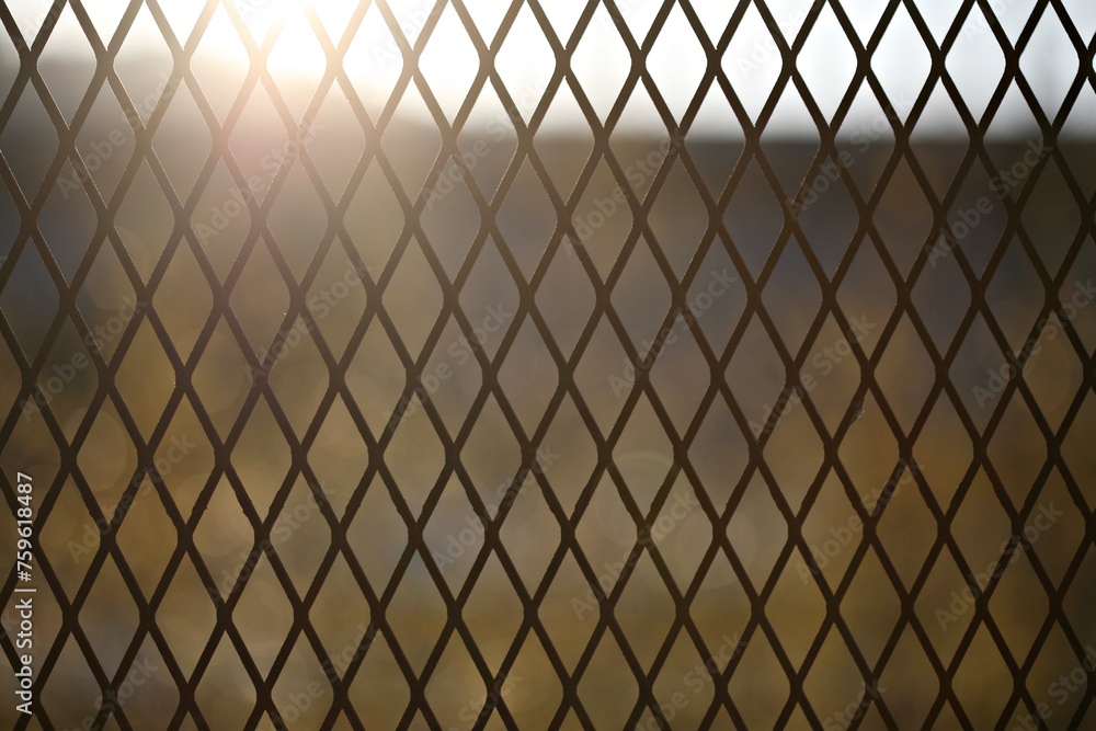 Fototapeta premium 철조망