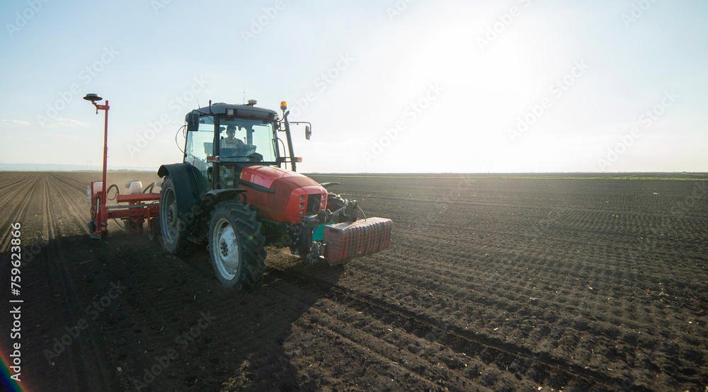 Obraz premium Sowing crops at agricultural fields in spring