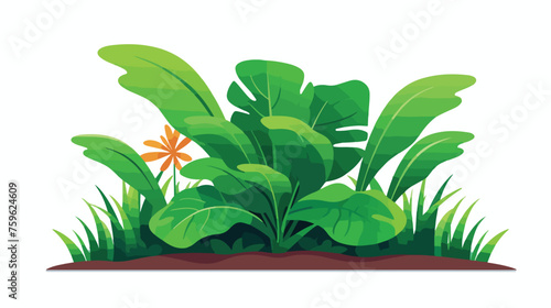 Plant Vector Illustration flat vector isolated on white