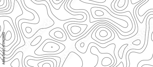 abstract white wave paper curved reliefs background. Topography map pattern, Geographic curved, vector illustration. seamless textrue, vintage waves. Panorama view multicolor wave curve line.