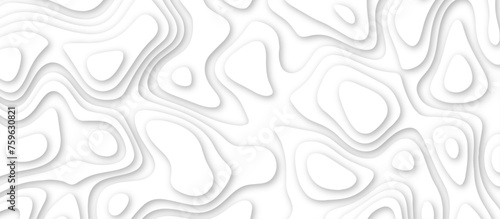 3d render, abstract white paper background. Paper cut vector art background banner texture. multi layer cutout geometric pattern on vector, Abstract soft white background with waves.