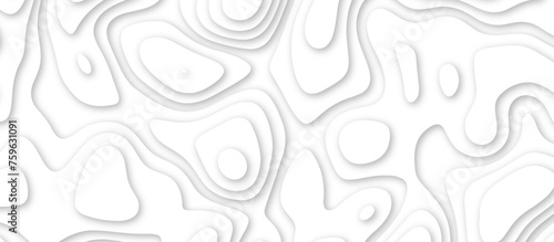 3d render, abstract white paper background. Paper cut vector art background banner texture. multi layer cutout geometric pattern on vector, Abstract soft white background with waves.