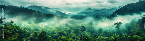 Jungle  tropical forest  morning fog  top view.