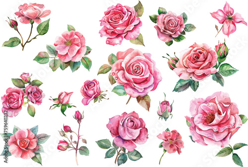 Watercolor rose flowers set © asadul