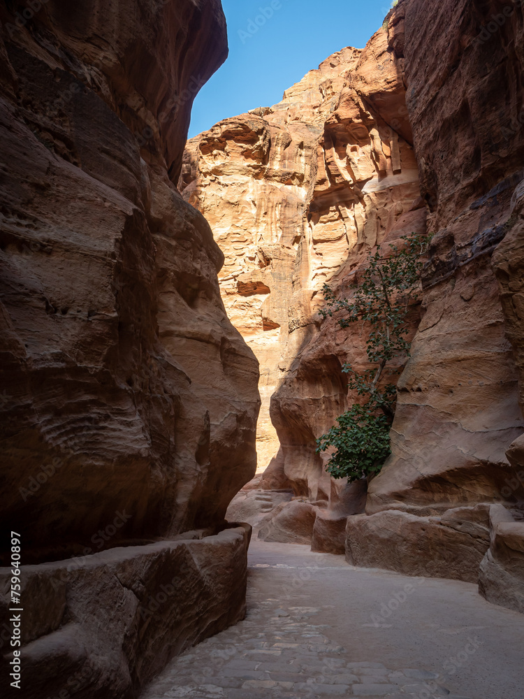 Picture of the Siq in Petra