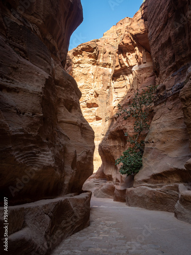 Picture of the Siq in Petra