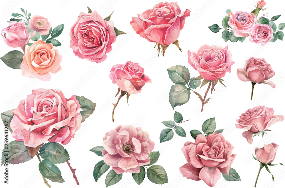 Naklejka premium Watercolor rose flowers set