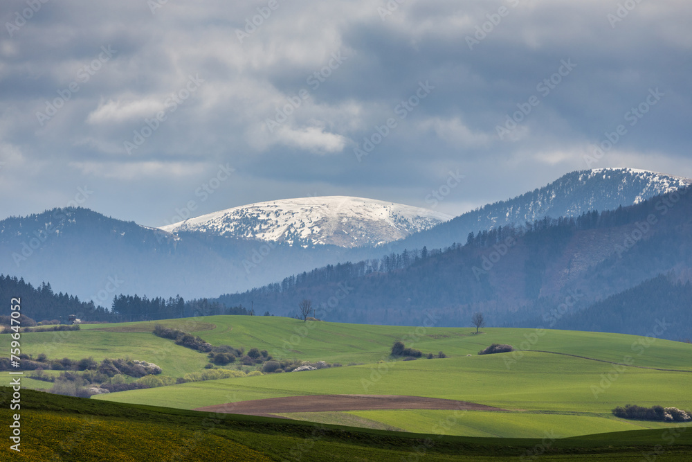 Beautiful spring landscape with green meadows and snowy mountains in the background. View of The Velka Fatra national park in Slovakia, Europe.