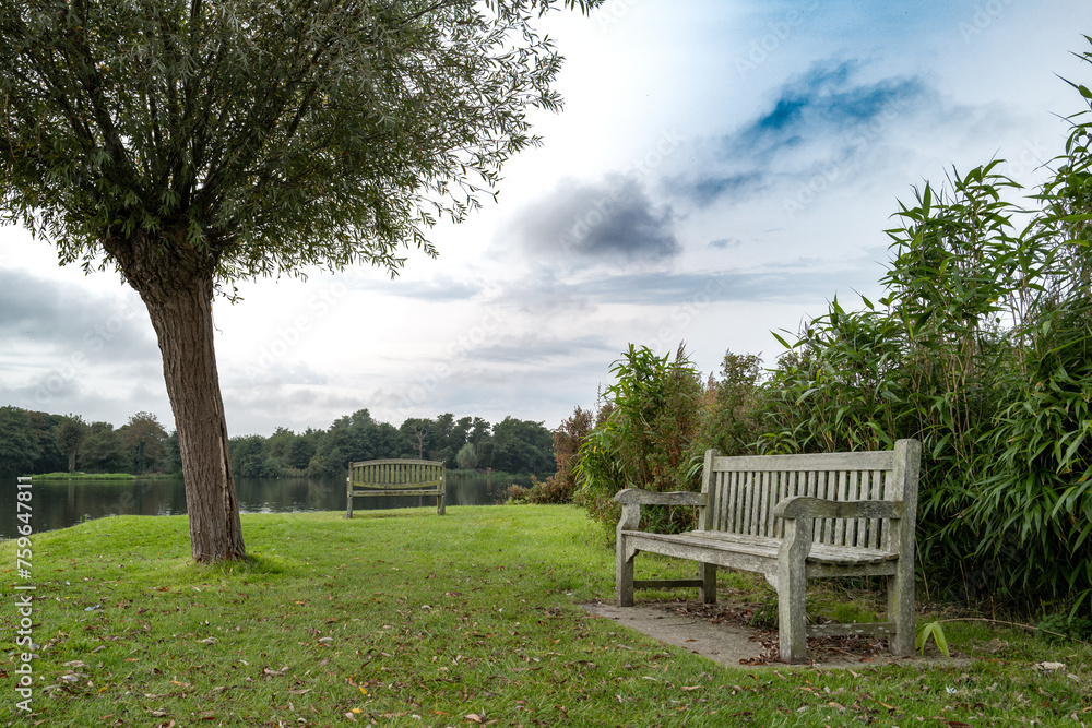 Empty wooden park benches seen at the edge of a large freshwater lake used for private boat hire in England. A solitary tree helps to create a balance image for the viewer. Empty wooden park benches seen at the edge of a large freshwater lake used for private boat hire in England. A solitary tree helps to create a balance image for the viewer.