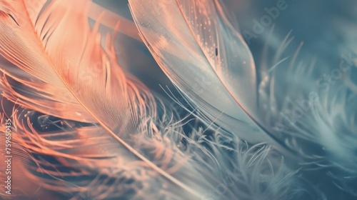 Abstract wallpaper composed of feathers up close