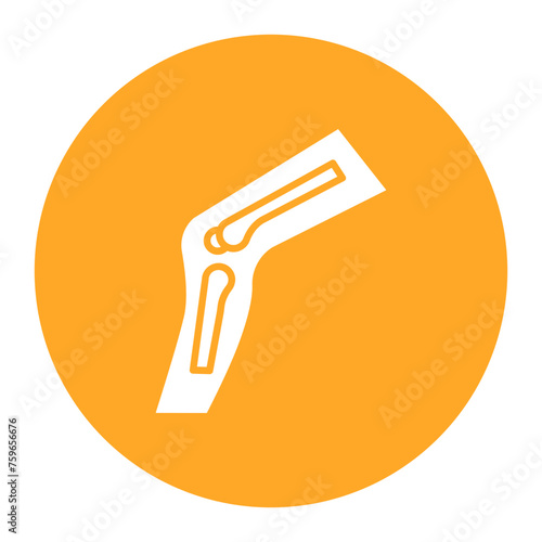 Patella icon vector image. Can be used for Human Anatomy.