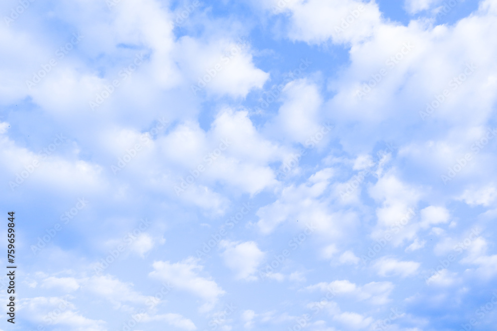 Fototapeta premium Fluffy cloud with blue sky in morning.