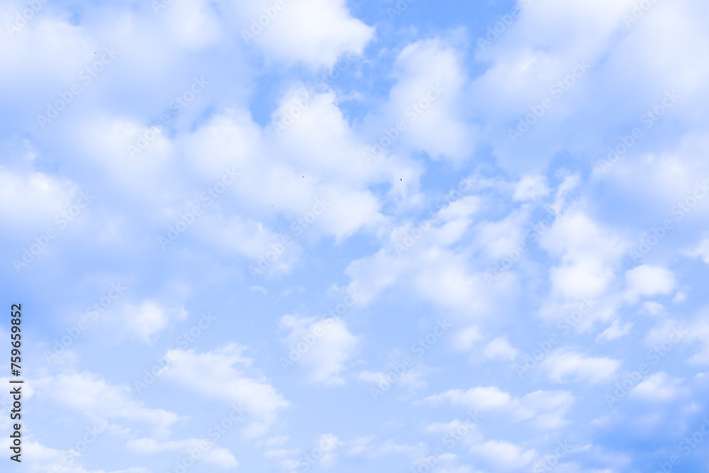 Fluffy cloud with blue sky in morning.