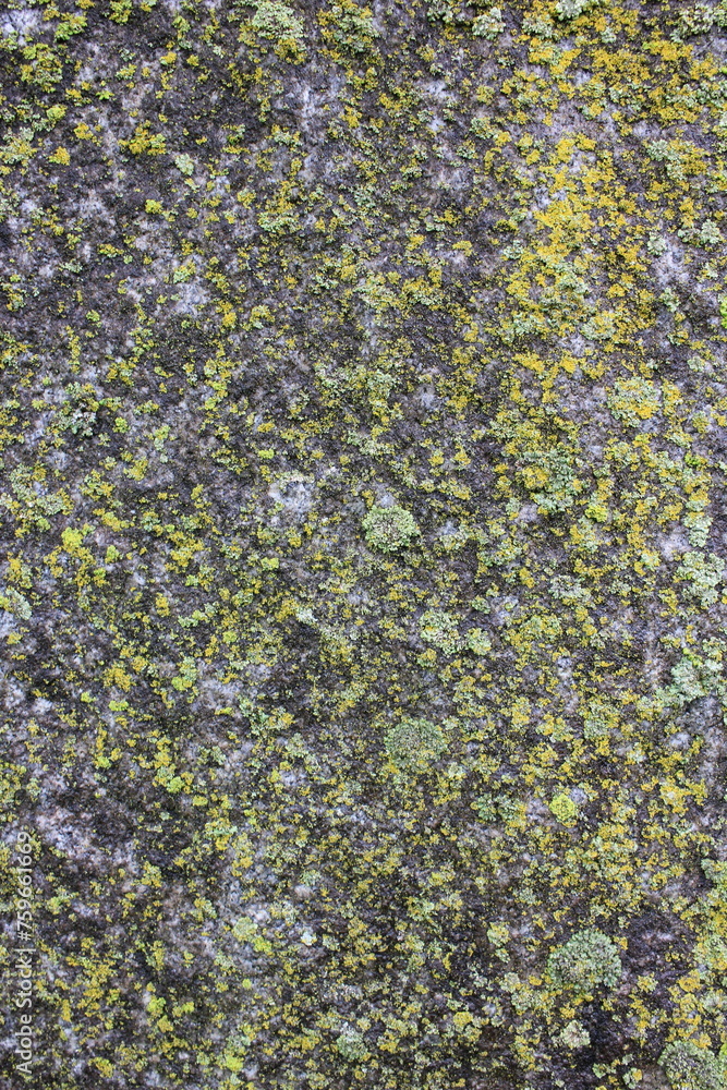 stone wall texture stone wall texture