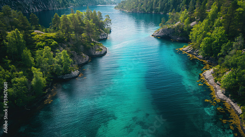 Travel through the breathtaking landscapes of the Norwegian fjords, where emerald forests meet the crystal clear waters of the fjords, with the essence of the harmony of nature